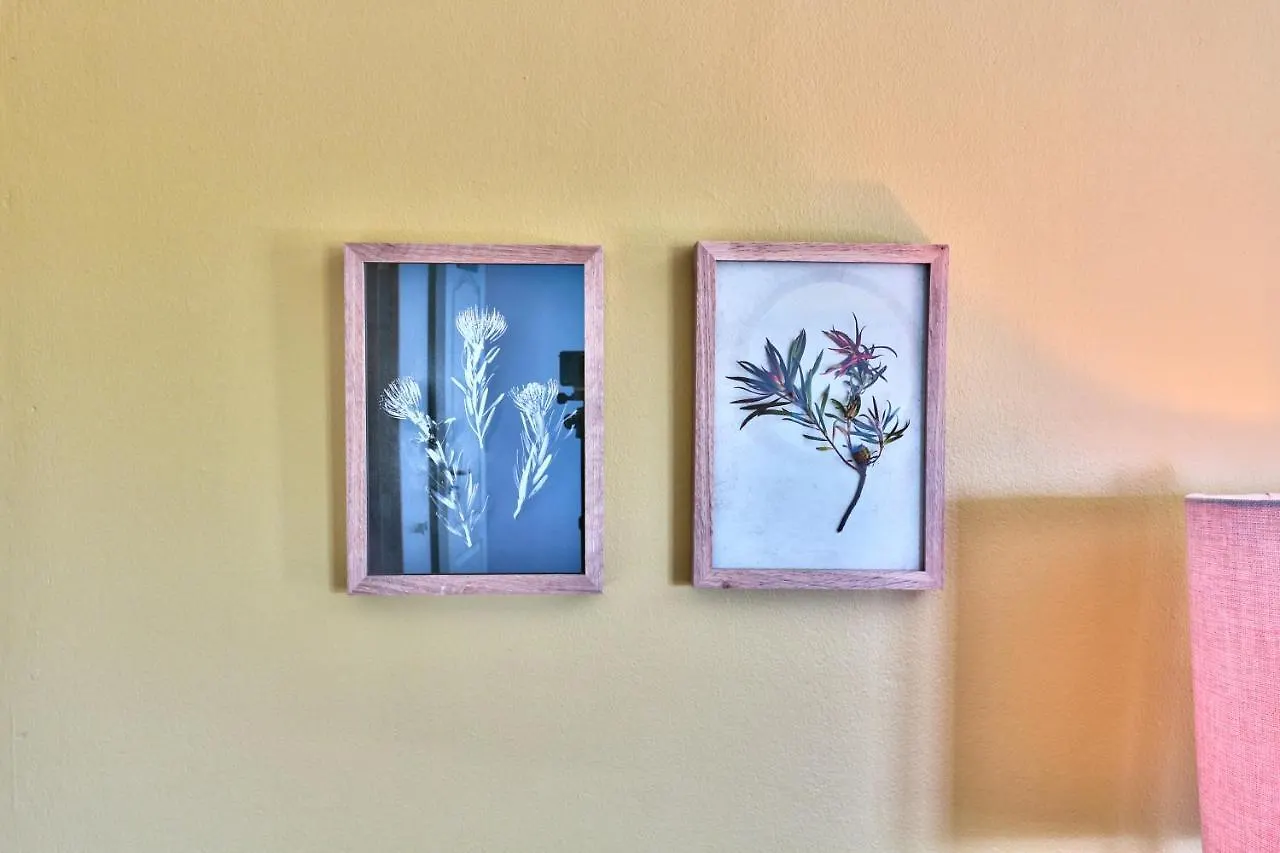 Devonport House Bed & Breakfast Cape Town